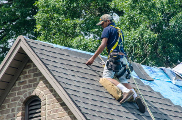 Roof Gutter Cleaning in Okolona, MS